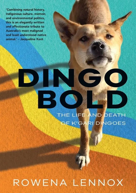 Dingo Bold: The Life and Death of K'gari Dingoes - Paperback