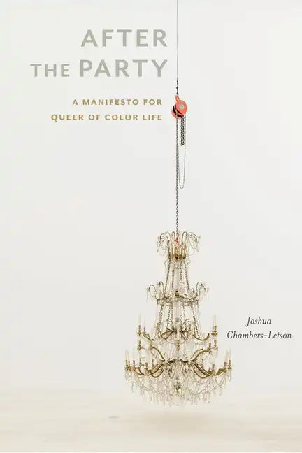 After the Party: A Manifesto for Queer of Color Life - Paperback