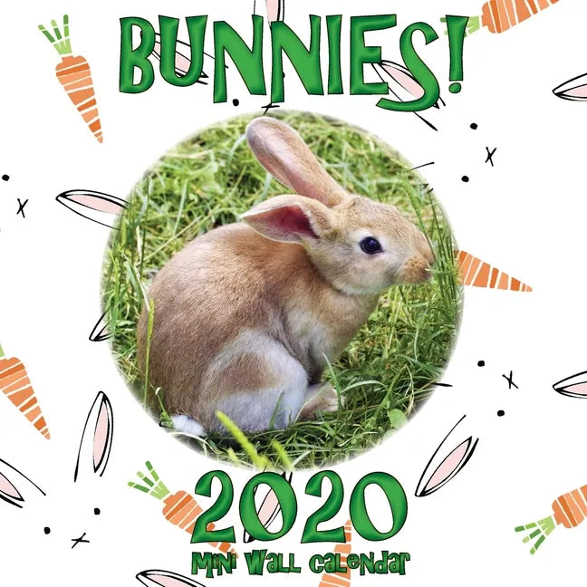 Bunnies! 2020 Mini Wall Calendar - Paperback