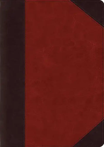 ESV Study Bible, Large Print (Trutone, Brown/Cordovan, Portfolio Design) - Imitation Leather