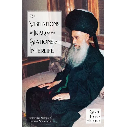 The Visitations of Iraq to the Stations of Interlife - Paperback
