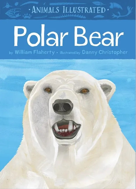 Animals Illustrated: Polar Bear - Hardcover