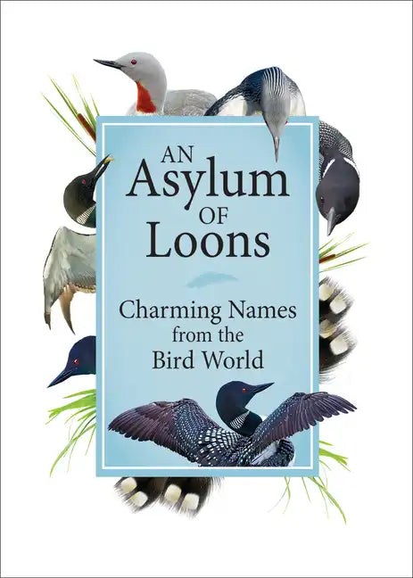 An Asylum of Loons: Charming Names from the Bird World - Hardcover