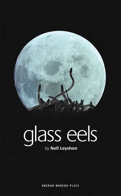 Glass Eels - Paperback