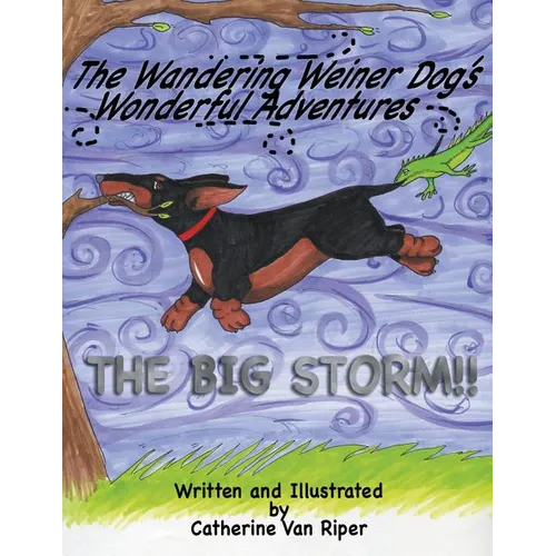 The Wandering Weiner Dog's Wonderful Adventures: The Big Storm!! - Paperback