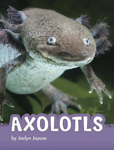 Axolotls - Paperback