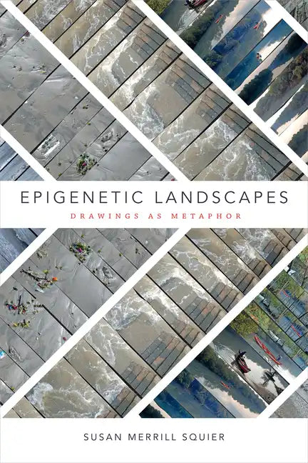 Epigenetic Landscapes: Drawings as Metaphor - Paperback