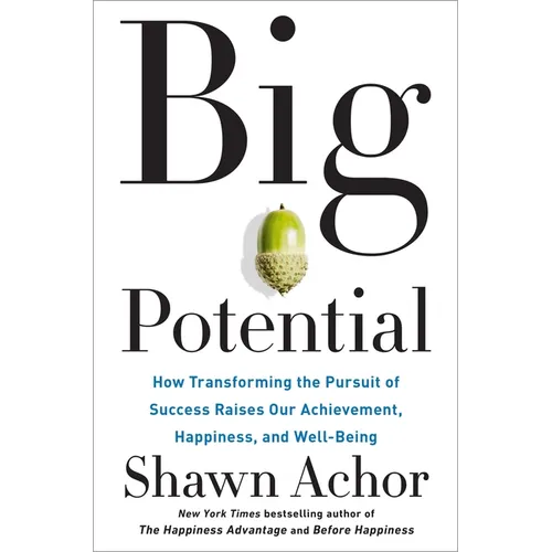 Big Potential: How Transforming the Pursuit of Success Raises Our Achievement, Happiness, and Well-Being - Hardcover