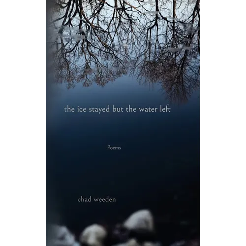 The ice stayed but the water left - Paperback