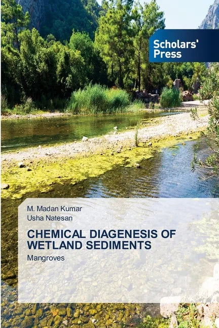 Chemical Diagenesis of Wetland Sediments - Paperback