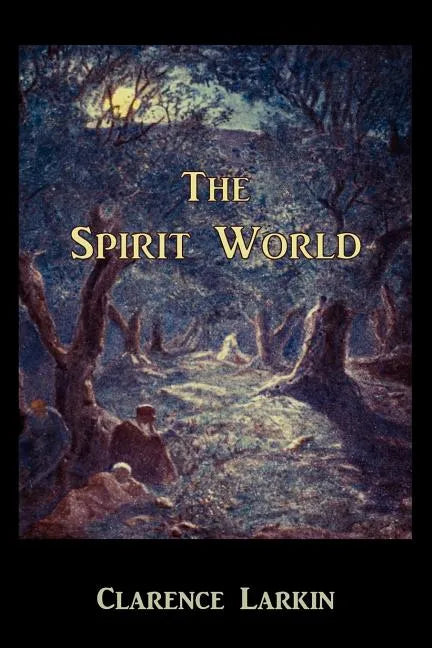 The Spirit World - Paperback