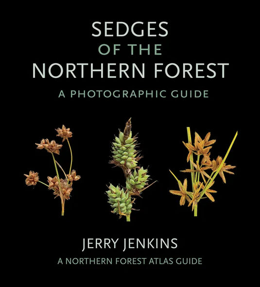 Sedges of the Northern Forest: A Photographic Guide - Paperback