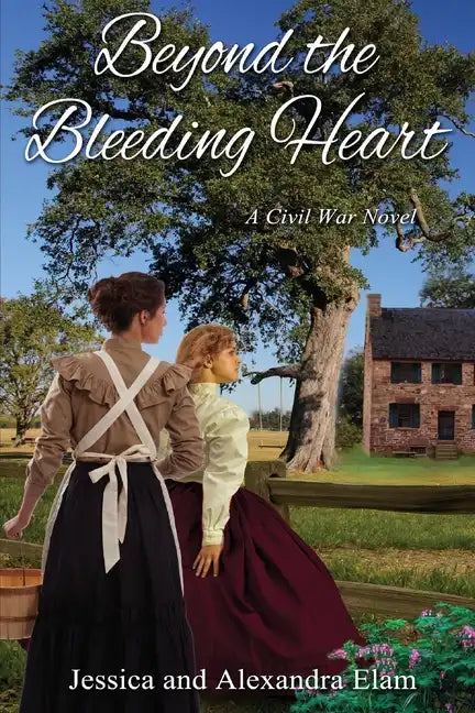 Beyond the Bleeding Heart: A Tale of the American Civil War - Paperback