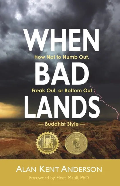 When Bad Lands: How Not to Numb Out, Freak Out, or Bottom Out-Buddhist Style - Paperback