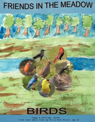 Friends in the Meadow: Birds - Paperback