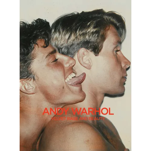 Andy Warhol: Velvet Rage and Beauty - Hardcover