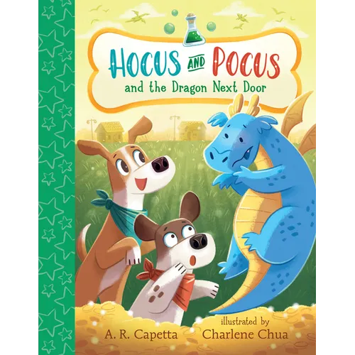 Hocus and Pocus and the Dragon Next Door - Hardcover