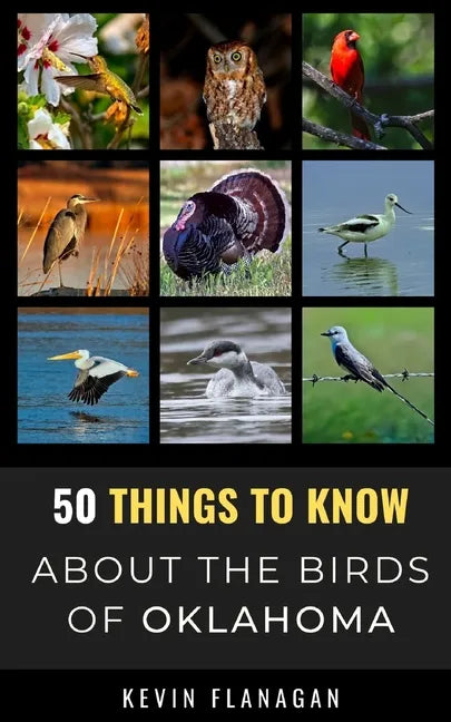50 Things to Know About Birds in Oklahoma: Birding in the Oklahoma - Paperback