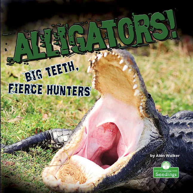 Alligators! Big Teeth, Fierce Hunters - Library Binding