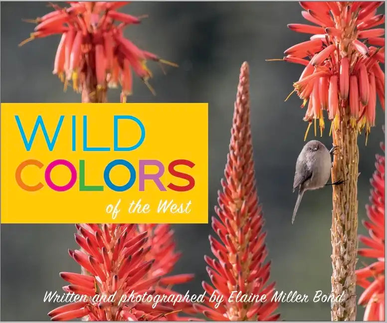 Wild Colors of the West - Board Book