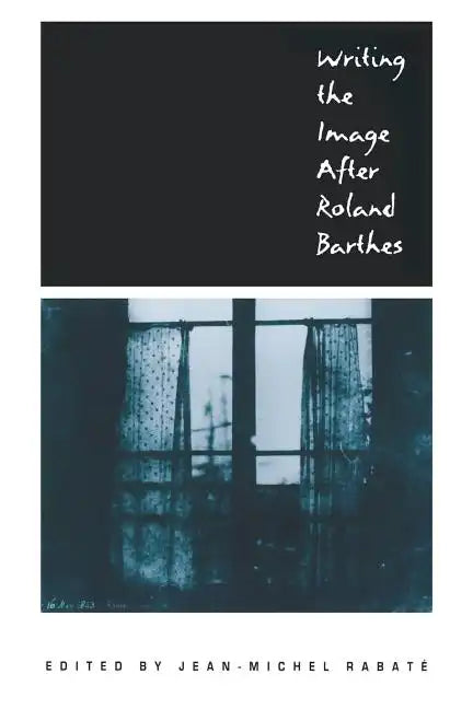 Writing the Image After Roland Barthes - Paperback