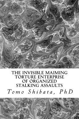 The Invisible Maiming Torture Enterprise of Organized Stalking Assaults - Paperback