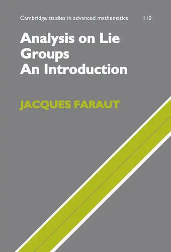 Analysis on Lie Groups: An Introduction - Hardcover