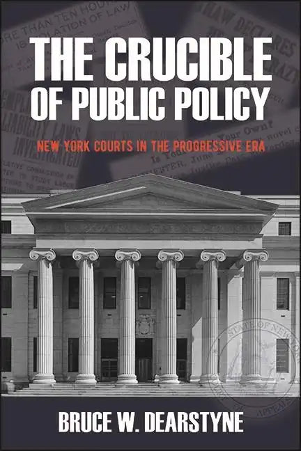 The Crucible of Public Policy: New York Courts in the Progressive Era - Paperback