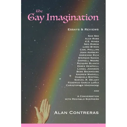 The Gay Imagination - Paperback