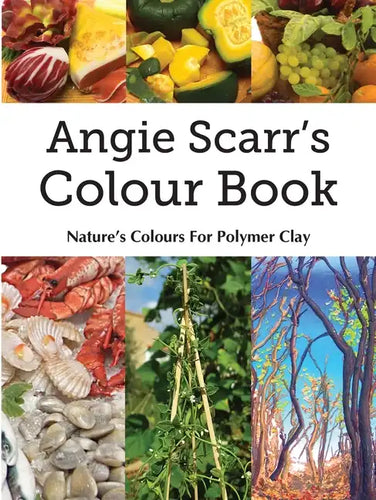 Angie Scarr's Colour Book: Nature's Colours For Polymer Clay - Paperback