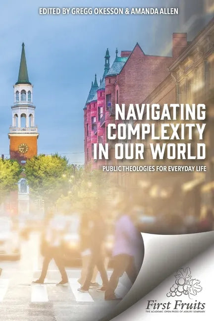 Navigating Complexity In Our World: Public Theologies for Everyday Life - Paperback