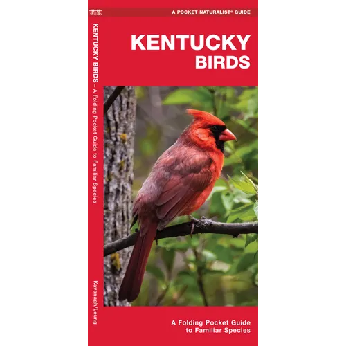Kentucky Birds: A Folding Pocket Guide to Familiar Species - Paperback