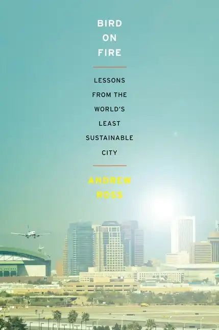 Bird on Fire: Lessons from the World's Least Sustainable City - Paperback