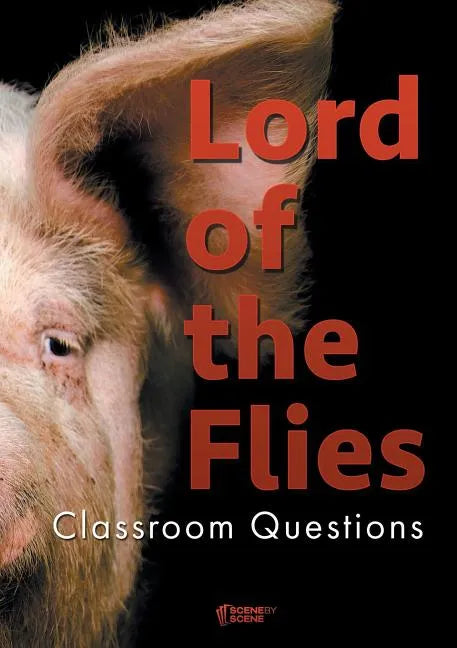 Lord of the Flies Classroom Questions - Paperback