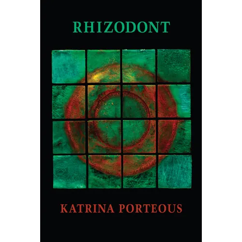 Rhizodont - Paperback