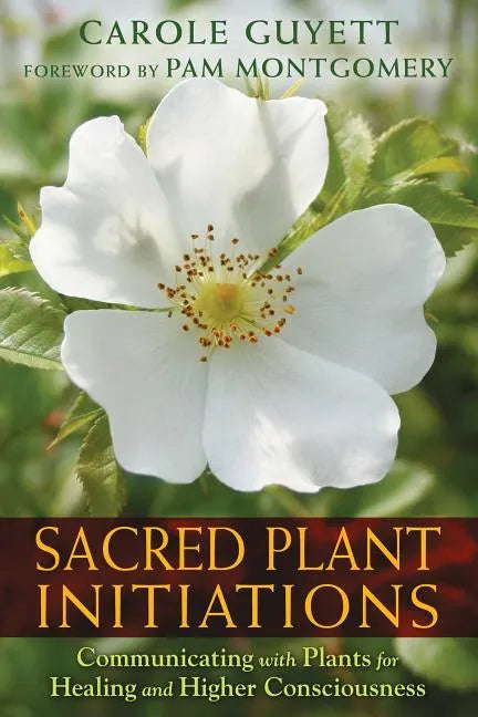 Sacred Plant Initiations: Communicating with Plants for Healing and Higher Consciousness - Paperback
