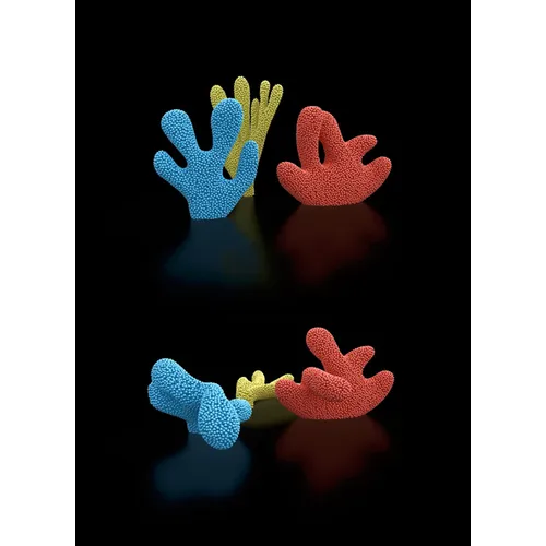 Claudia Comte: After Nature - Paperback