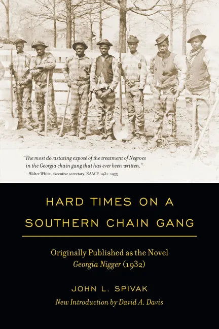Hard Times on a Southern Chain Gang - Paperback