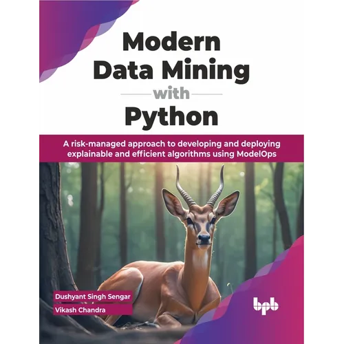 Modern Data Mining with Python: A Risk-Managed Approach to Developing and Deploying Explainable and Efficient Algorithms Using Modelops - Paperback