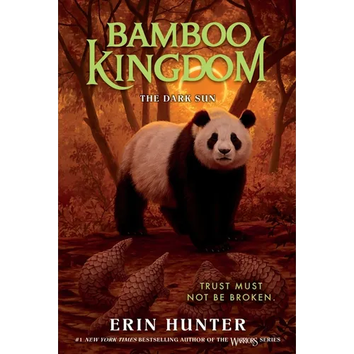 Bamboo Kingdom #4: The Dark Sun - Paperback