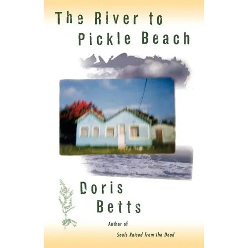 The RIVER TO PICKLE BEACH - Paperback