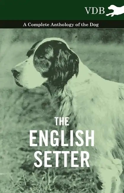 The English Setter - A Complete Anthology of the Dog - Paperback