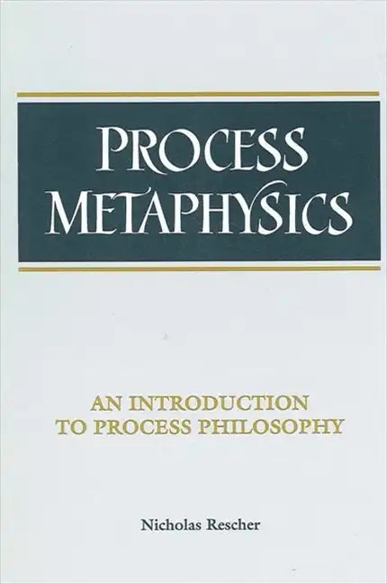 Process Metaphysics: An Introduction to Process Philosophy - Paperback