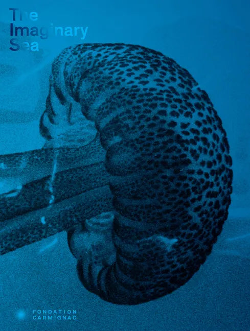 The Imaginary Sea - Hardcover