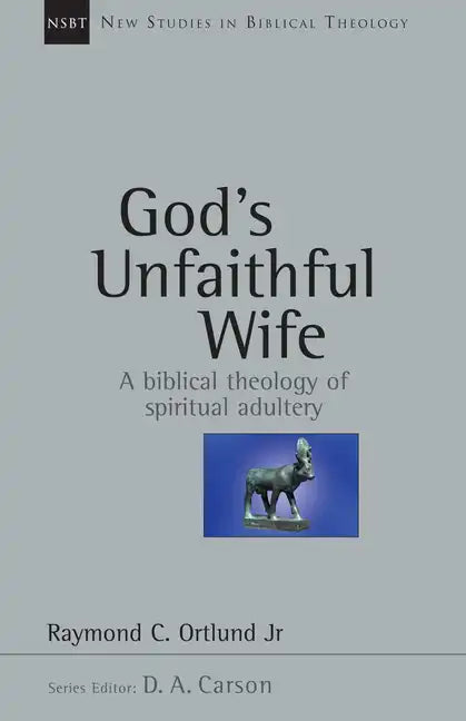 God's Unfaithful Wife: A Biblical Theology of Spiritual Adultery - Paperback