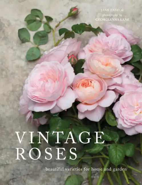 Vintage Roses: Beautiful Varieties for Home and Garden - Hardcover