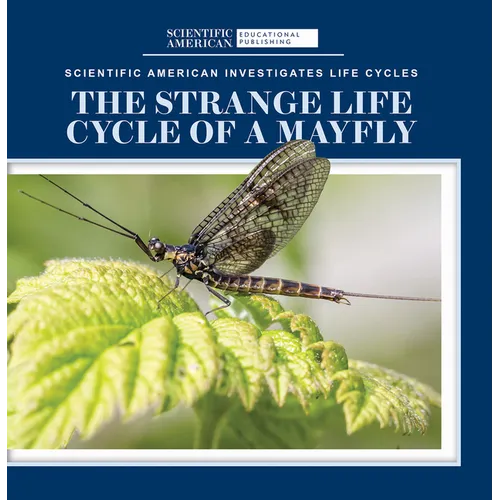 The Strange Life Cycle of a Mayfly - Library Binding