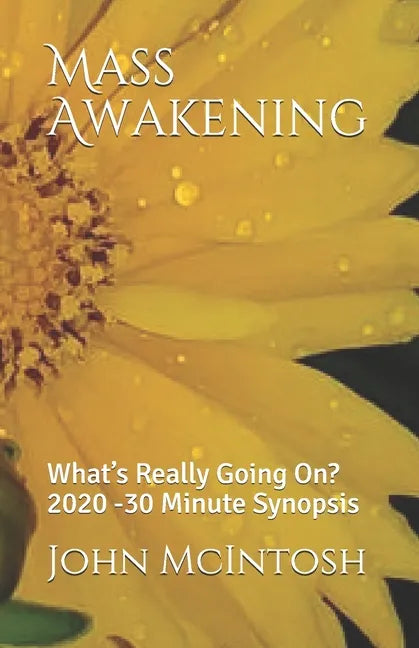 Mass Awakening: What's Really Going On? 2020 -30 Minute Synopsis - Paperback
