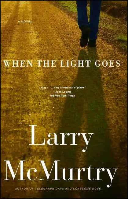 When the Light Goes - Paperback