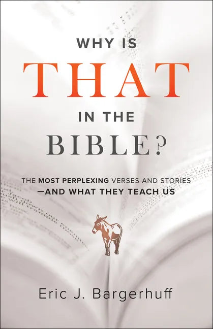 Why Is That in the Bible?: The Most Perplexing Verses and Stories--And What They Teach Us - Paperback